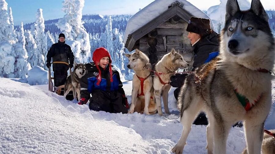 Rovaniemi: Family Friendly Husky Ride and Farm Visit - Key things to know before booking