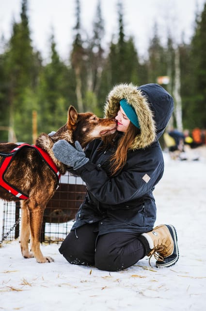 Rovaniemi: Husky and Reindeer farm with sleigh ride - Who will enjoy this Lapland outing?