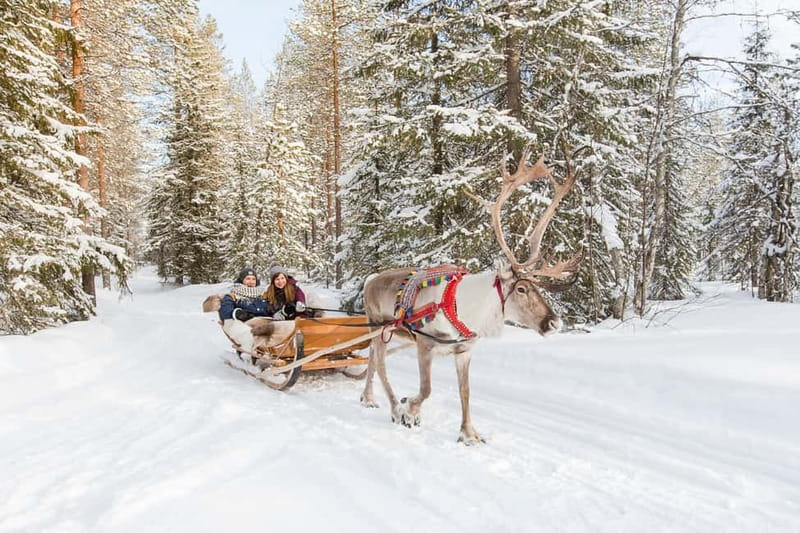 Rovaniemi: Husky Farm and Reindeer Experience - Santa Claus Village as an add-on