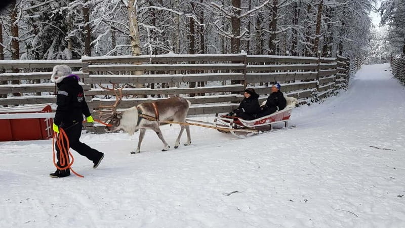 Rovaniemi: Husky Farm and Reindeer Experience - Who will enjoy this most?