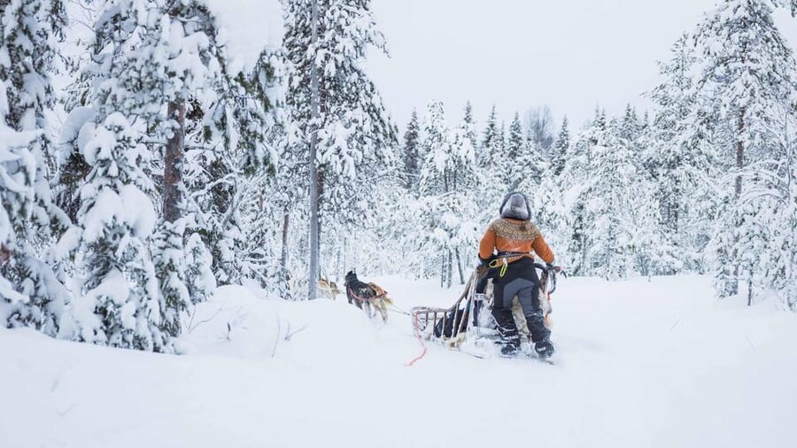 Rovaniemi: Husky Farm Visit with a Sledge Ride - Meeting your guide in Rovaniemi