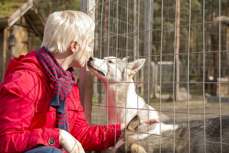 Rovaniemi: Quad Bike Safari, Reindeer & Husky Farm Visit - From central Rovaniemi to the Arctic Circle farms