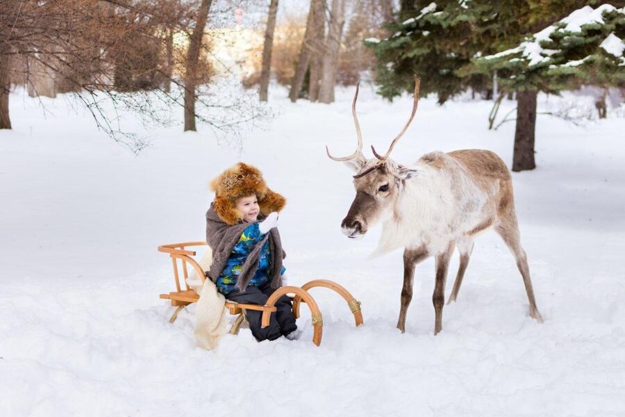 Rovaniemi: Reindeer Farm Tour with Sledge Ride & Pickup - Leaving Rovaniemi for an old reindeer farm