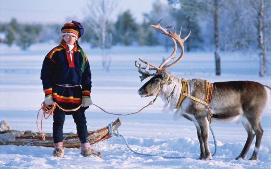 Rovaniemi: Reindeer Farm Tour with Sledge Ride & Pickup - What makes this farm visit feel authentic
