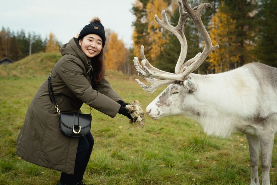 Rovaniemi: Reindeer Farm Visit with Photographer - The 25-Minute Drive From Rovaniemi