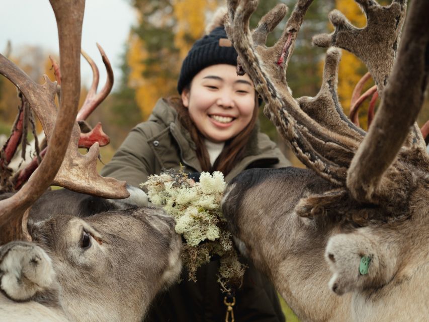 Rovaniemi: Reindeer Farm Visit with Photographer - Fire, Hot Berry Juice, and Farm Stories