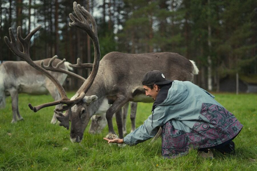 Rovaniemi: Reindeer Farm Visit with Photographer - Who Will Like This Tour Most?