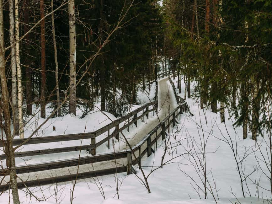 Rovaniemi: Reindeer Farm Visit with Sleigh Ride & Pickup - Meeting the herders at Raitola Farm
