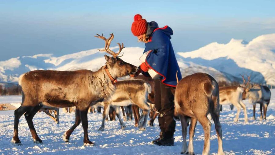 Rovaniemi: Reindeer Farm Visit with Sleigh Ride & Snacks - Leaving Rovaniemi for the reindeer farm