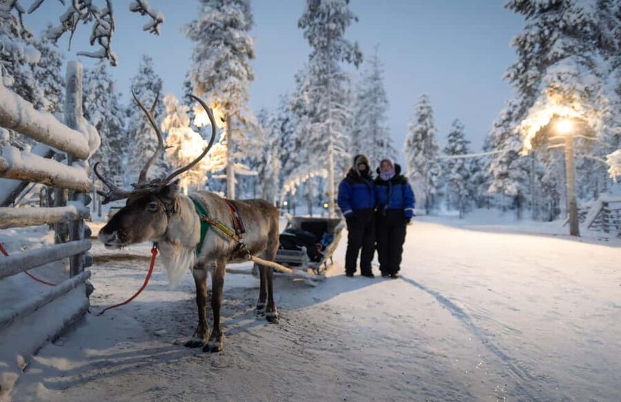 Rovaniemi: Reindeer Farm Visit with Sleigh Ride & Snacks - Meeting and feeding the reindeer