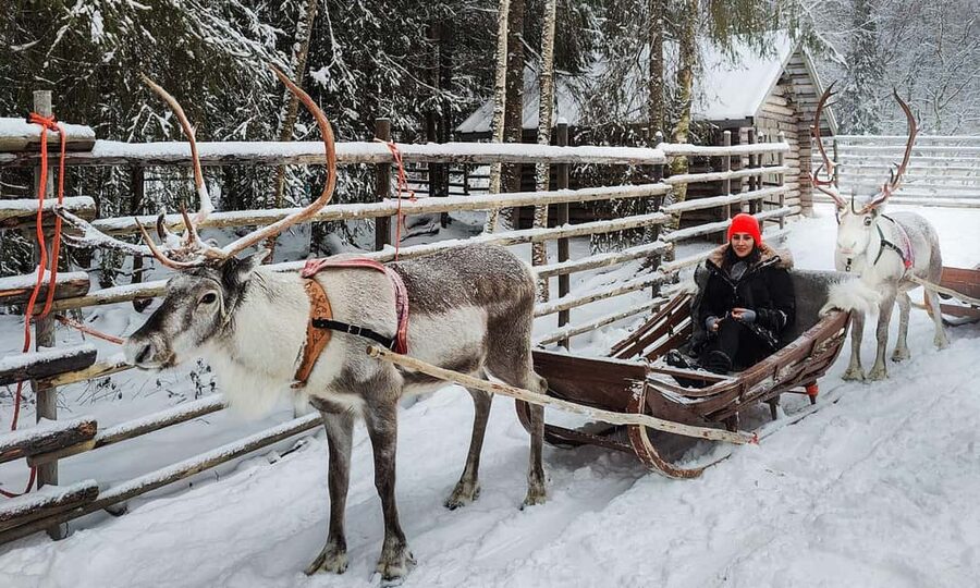 Rovaniemi: Reindeer Farm Visit with Sleigh Ride & Snacks - What the two-hour schedule really means