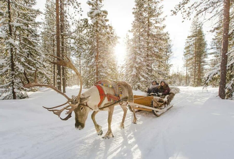 Rovaniemi: Reindeer Farm Visit with Sleigh Ride & Snacks - Is $129 a fair price?