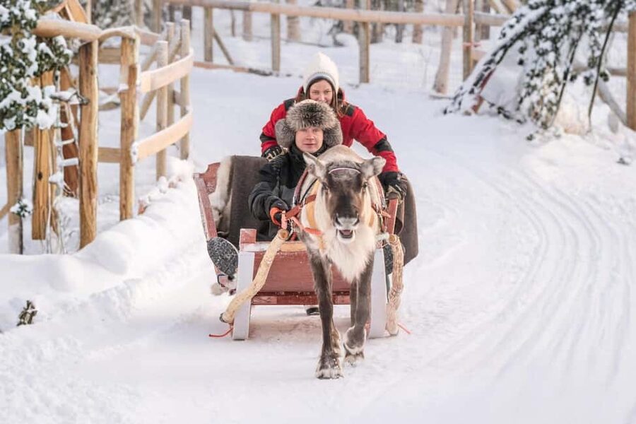 Rovaniemi: Reindeer Safari at 200-Year-Old Farm & Sled Ride - Reaching the farm in a warm 2025 Ford Tourneo