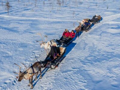 Reindeer Safari at 200-Year-Old Farm & Sled Ride