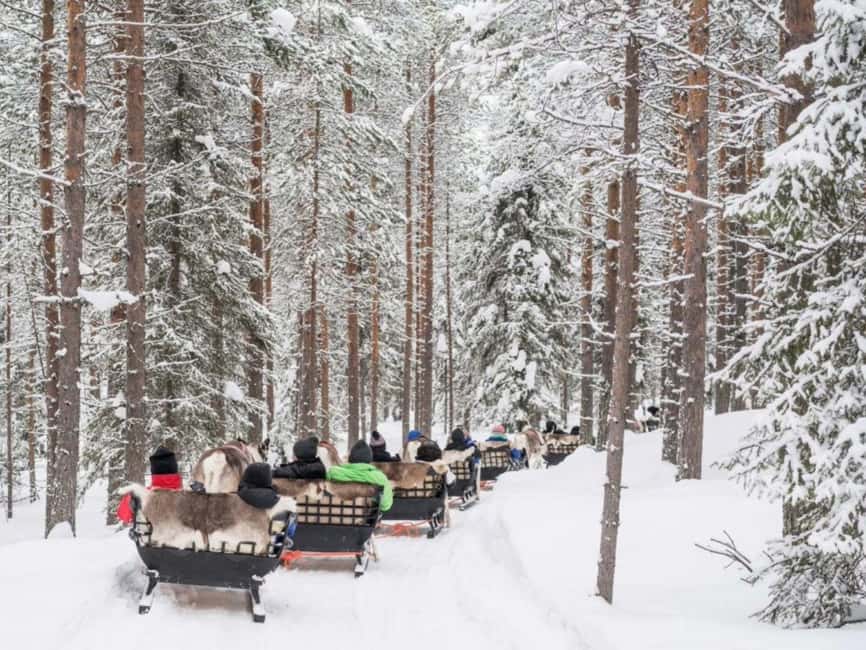 Rovaniemi: Reindeer Safari at 200-Year-Old Farm & Sled Ride - What the experience is really worth at $211