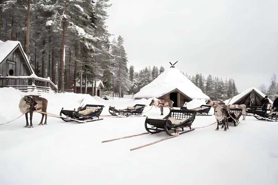 Rovaniemi: Reindeer Safari at 200-Year-Old Farm & Sled Ride - Who will enjoy this safari most?
