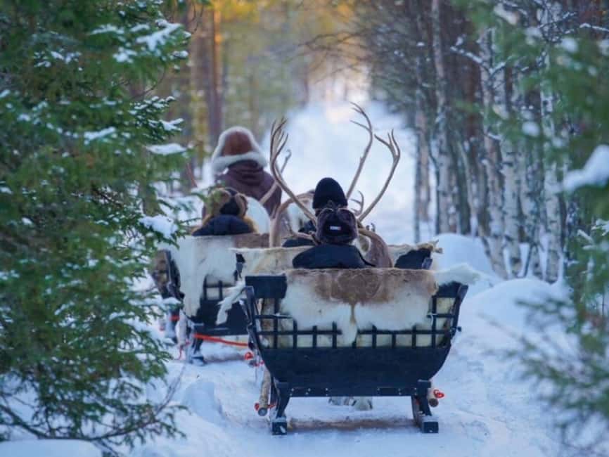 Rovaniemi: Reindeer Safari at 200-Year-Old Farm & Sled Ride - Booking advice for weather, timing, and flexibility