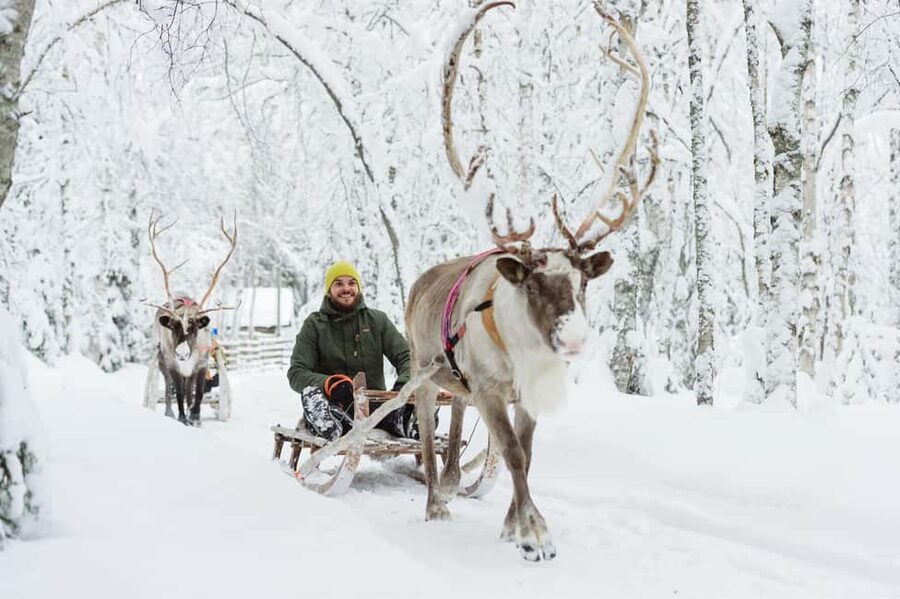 Rovaniemi: Saami Reindeer Farm Visit & Sleigh Ride - Key points to know before booking