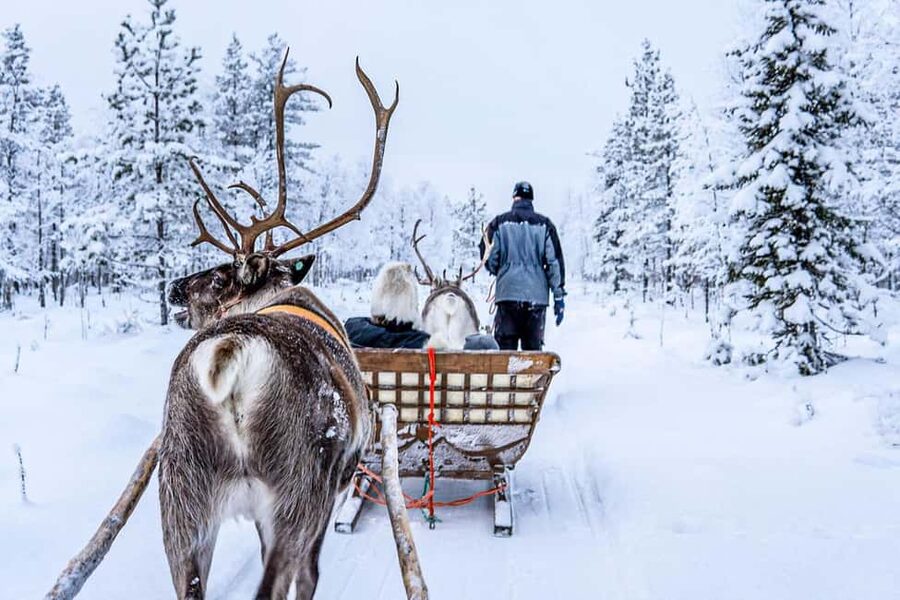 Rovaniemi: Saami Reindeer Farm Visit & Sleigh Ride - My verdict on the reindeer farm visit