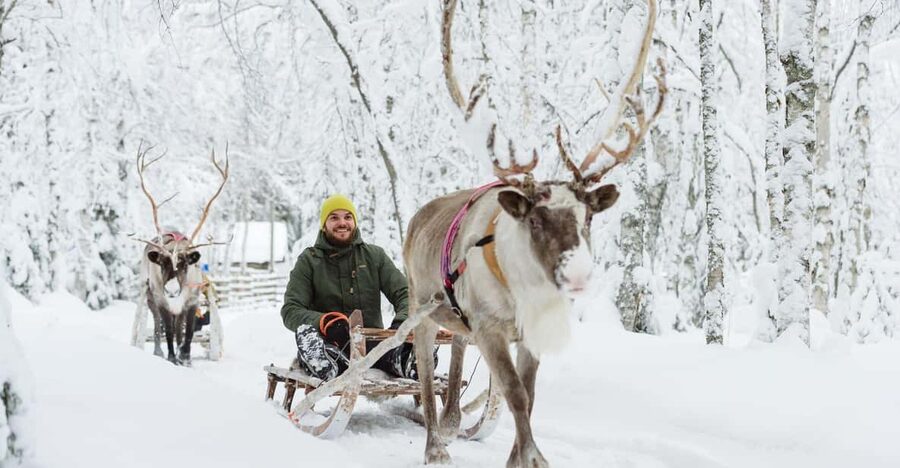 Rovaniemi: Saami Reindeer Farm Visit & Sleigh Ride - Leaving Rovaniemi for the reindeer farm