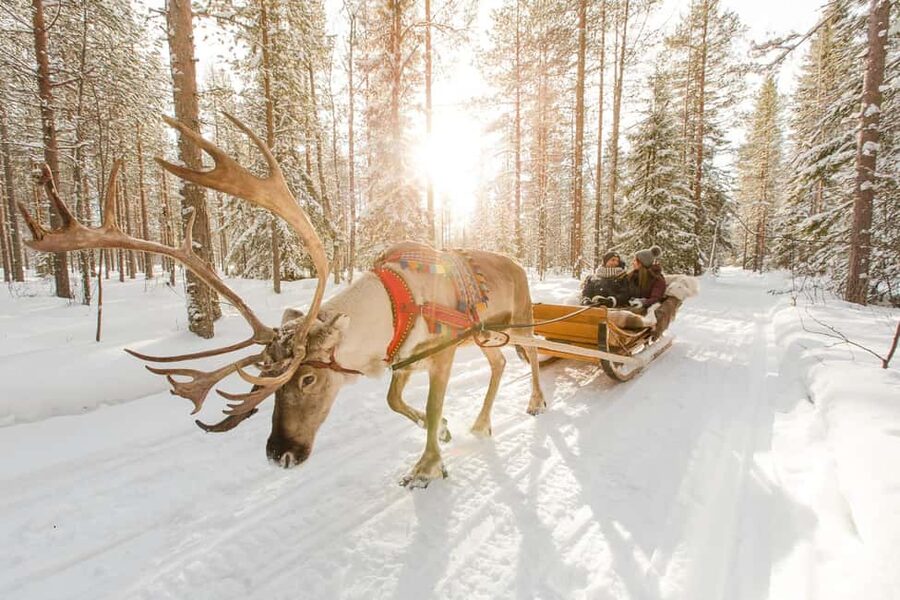 Rovaniemi: Saami Reindeer Farm Visit & Sleigh Ride - What the Sámi focus really offers