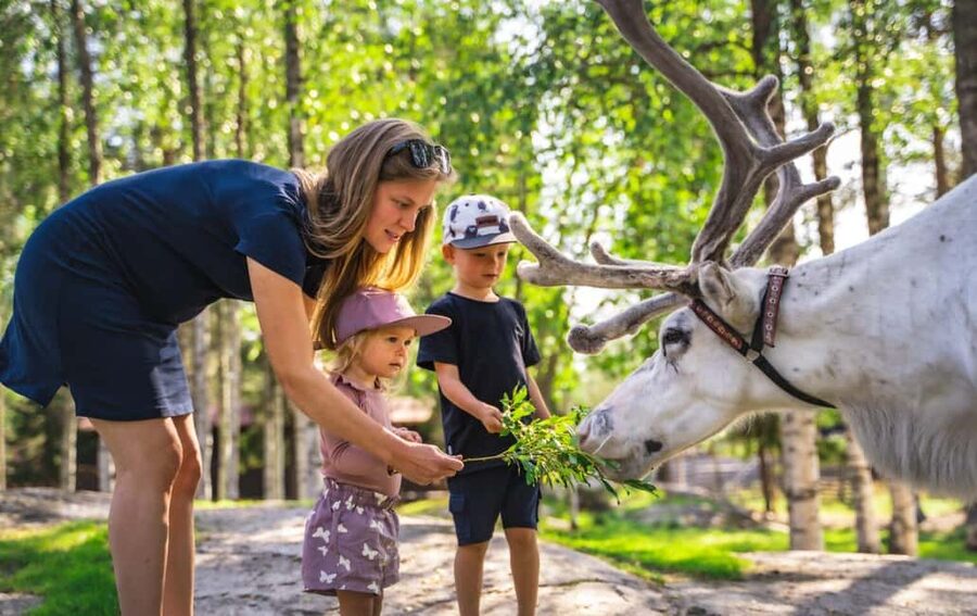 Rovaniemi: Saami Reindeer Farm Visit & Sleigh Ride - The 400 to 500 meter sleigh ride