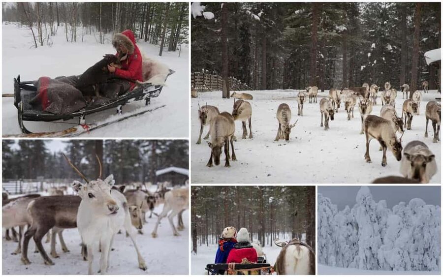 Rovaniemi: Saami Reindeer Farm Visit & Sleigh Ride - Warming up in the kota hut