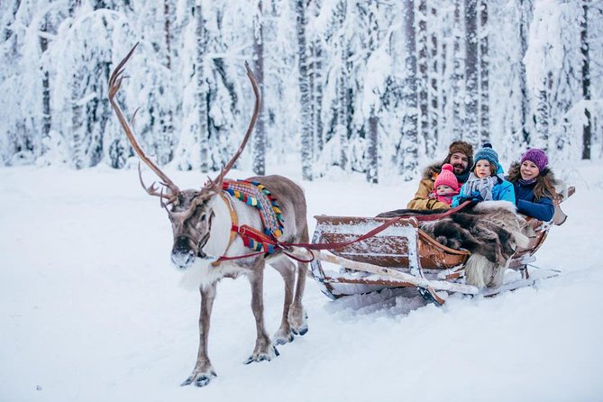 Rovaniemi Santa Claus Village Husky Reindeer Farm Arctic Museum - Meeting point, timing, and family fit