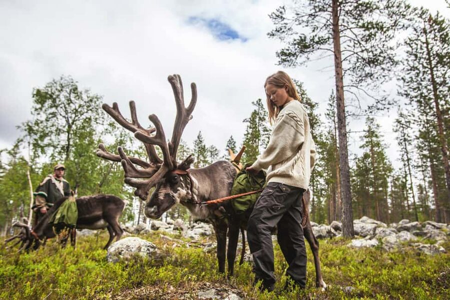 Rovaniemi: Summer/Autumn Reindeer Farm Experience - Meeting the herder’s dogs