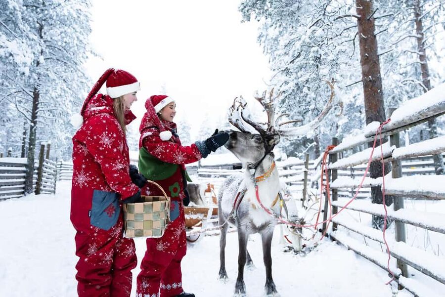 Rovaniemi: Visit to Santa's reindeer farm with reindeer ride - Starting at the Elf Adventure Center