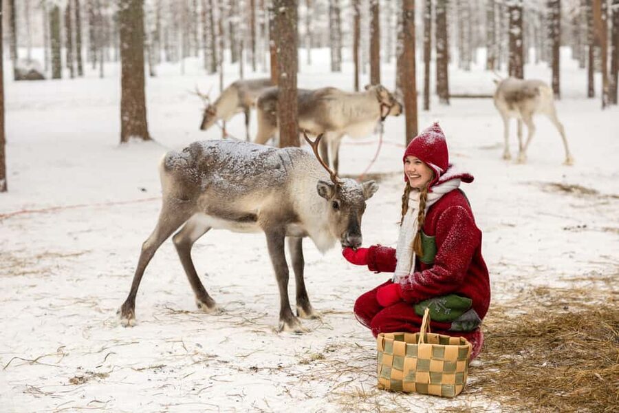 Rovaniemi: Visit to Santa's reindeer farm with reindeer ride - Small details that improve the experience