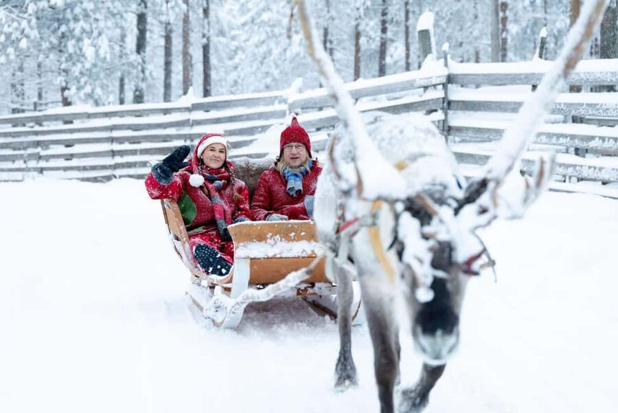 Rovaniemi: Visit to Santa's reindeer farm with reindeer ride - Feeding and petting the reindeer