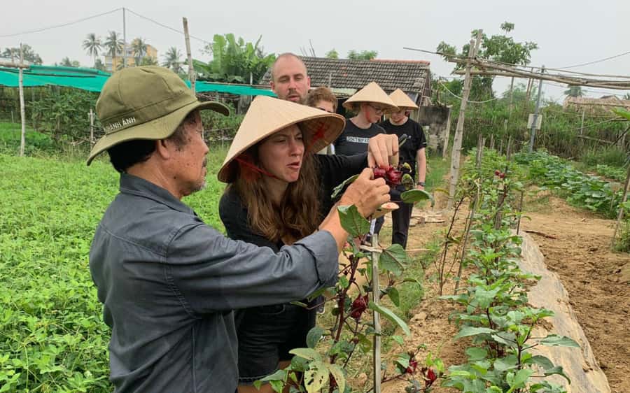 Rural Cycle, Market Tour, Basket Boat & Organic Farm Cooking - Five things worth knowing before you book