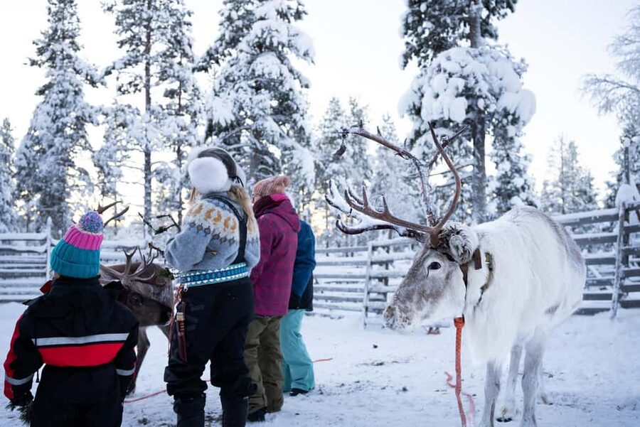 Saariselkä: Reindeer Farm Experience with Snack and Drinks - A quick ride from Saariselkä to Laanila
