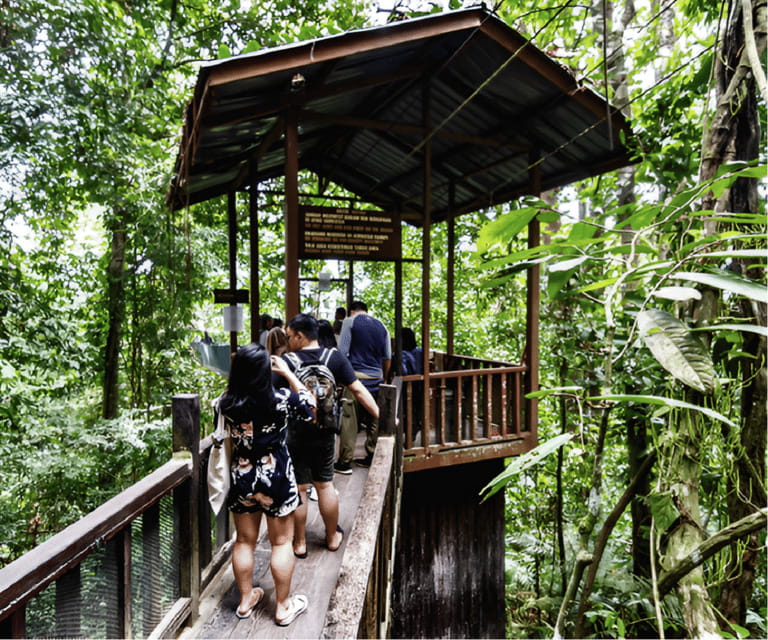 Sabah: Kinabalu Park, Hot Springs, and Cow Farm Day Tour - Poring Hot Springs and a slower final stop