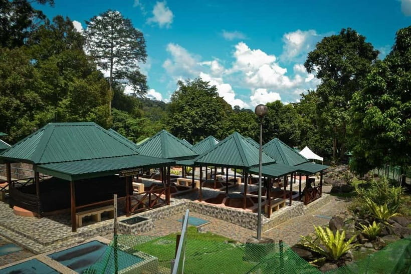 Sabah: Kinabalu Park, Poring Hot Springs & Desa Farm Tour - A 7:00 AM start from Kota Kinabalu
