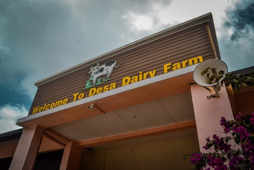 Sabah: Kinabalu Park, Poring Hot Springs & Desa Farm Tour - What the $79 price really buys