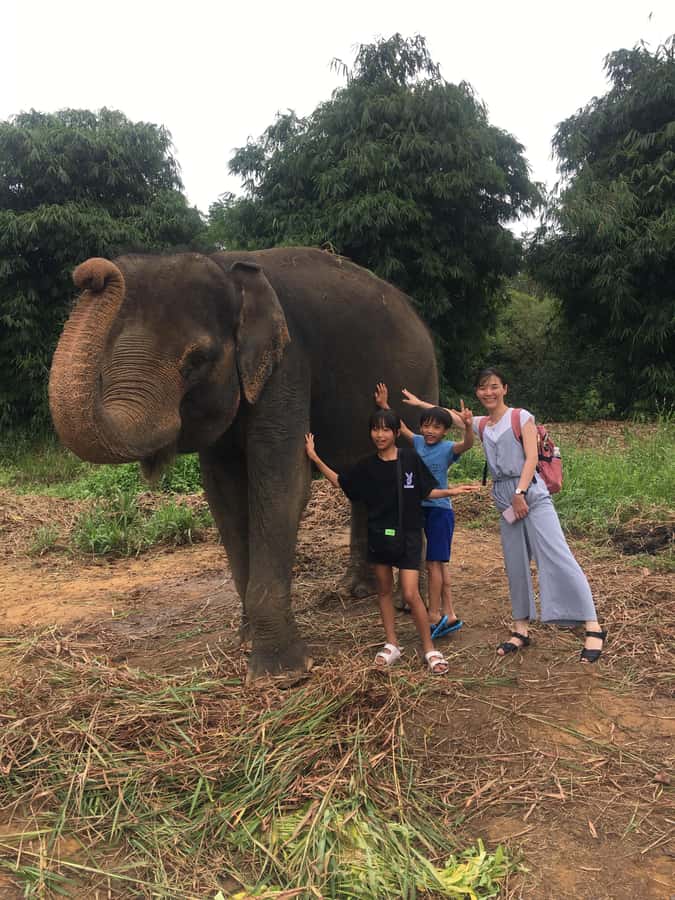 Safari Lagoi & Eco Farm Bintan - Key things to know before you go