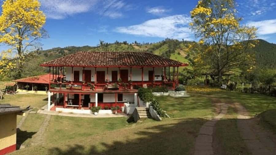 Salento and Cócora Tour + Coffee Farm from Pereira/Armenia - Key points to know before booking