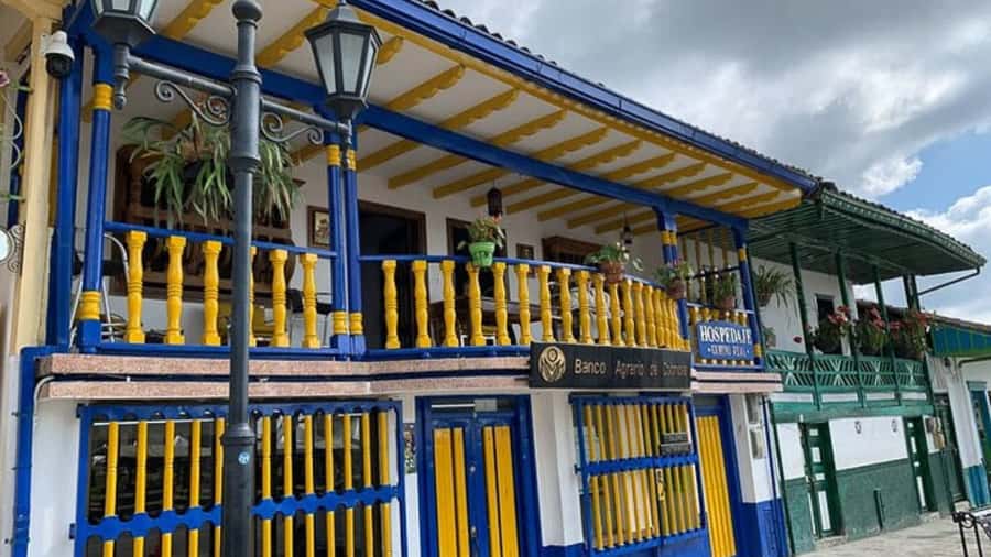 Salento and Cócora Tour + Coffee Farm from Pereira/Armenia - Cocora Valley and its tall wax palms