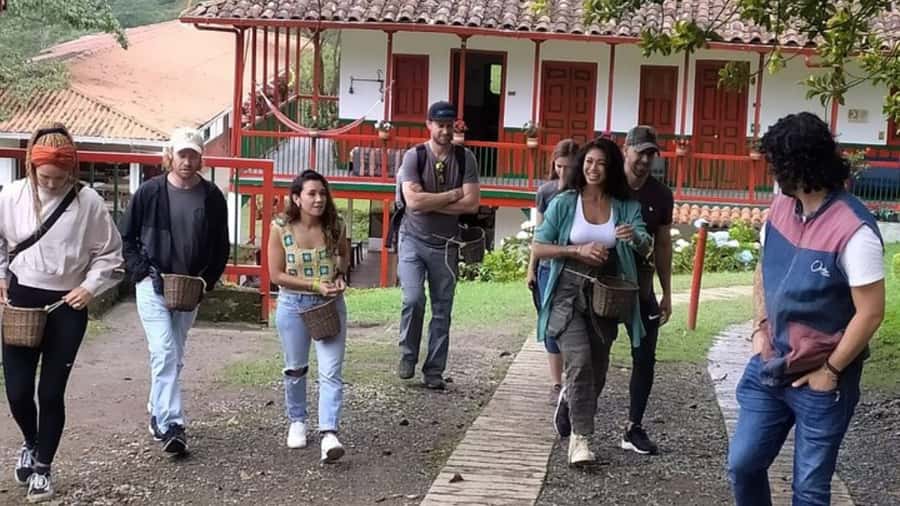 Salento and Cócora Tour + Coffee Farm from Pereira/Armenia - The coffee farm, from beans to a fresh cup