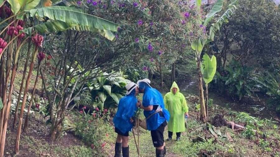 Salento and Cócora Tour + Coffee Farm from Pereira/Armenia - Who should take this tour?
