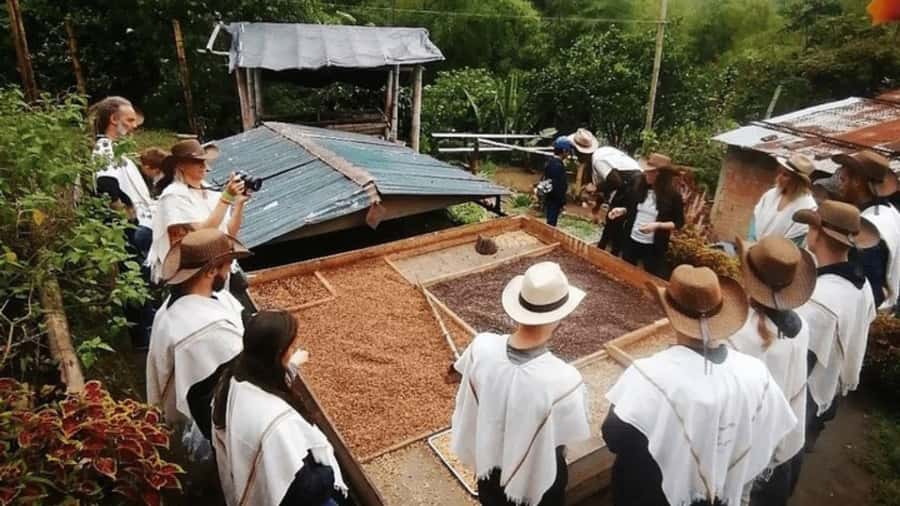 Salento and Cócora Tour + Coffee Farm from Pereira/Armenia - Starting from Pereira or Armenia