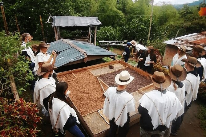 Salento and Cócora Tour plus Coffee Farm from Pereira or Armenia - Why this one-day Coffee Axis tour works