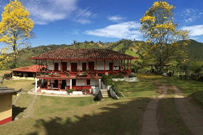 Salento and Cócora Tour plus Coffee Farm from Pereira or Armenia - Salento’s Royal Street and local character