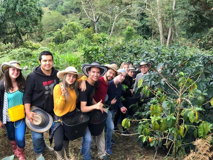 Salento: Coffee Farm Tour with Tasting - Drying, roasting, and the part you may help prepare