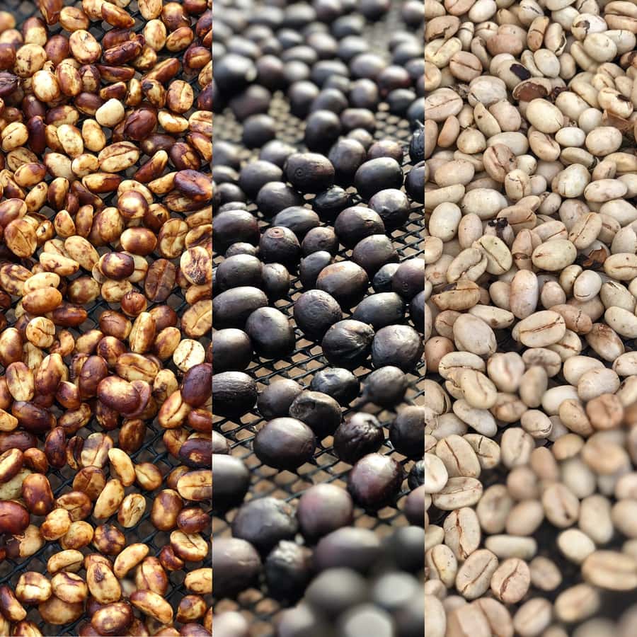 Salento: Coffee Farm Tour with Tasting - Is $101 a fair price?