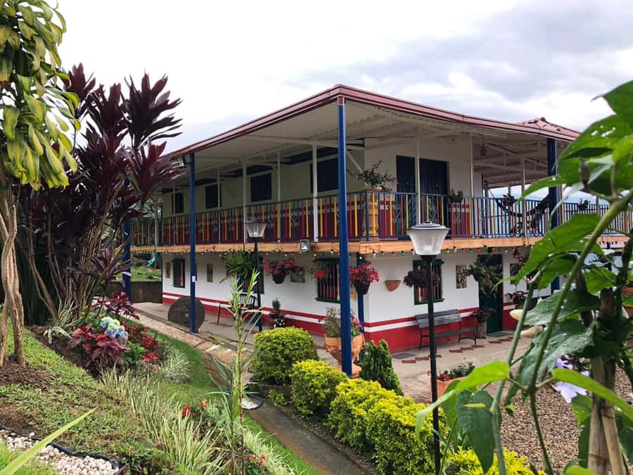 Salento: Coffee Farm Tour with Tasting - Seeing coffee as a plant, not a package