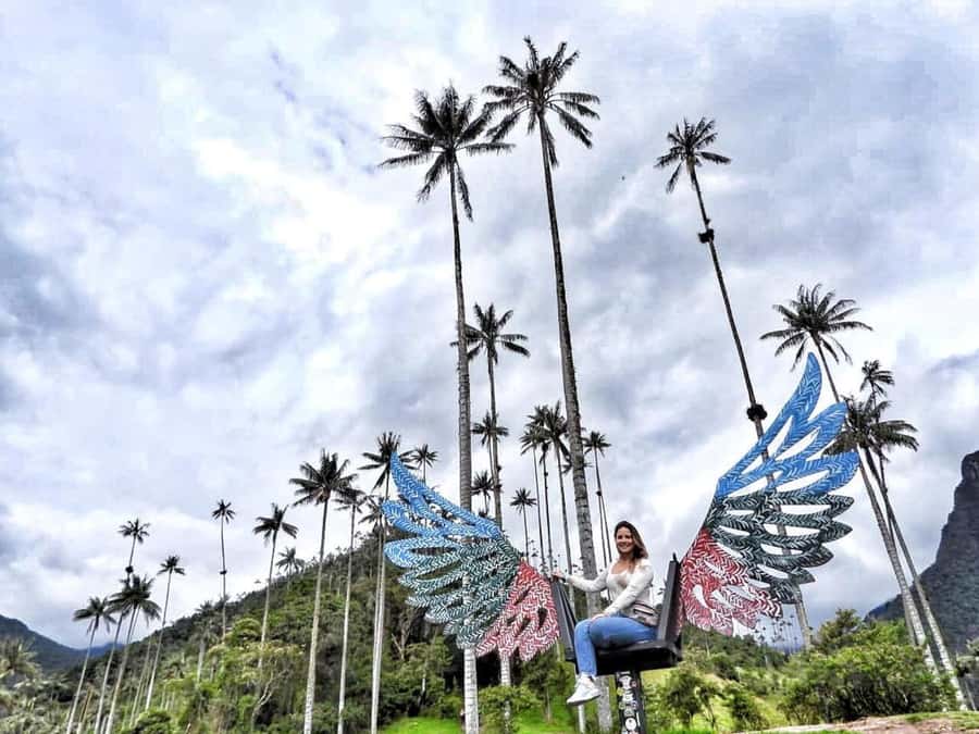 Salento: Private Cocora Valley, Salento & Coffee Farm Tour - Five things to know before you book