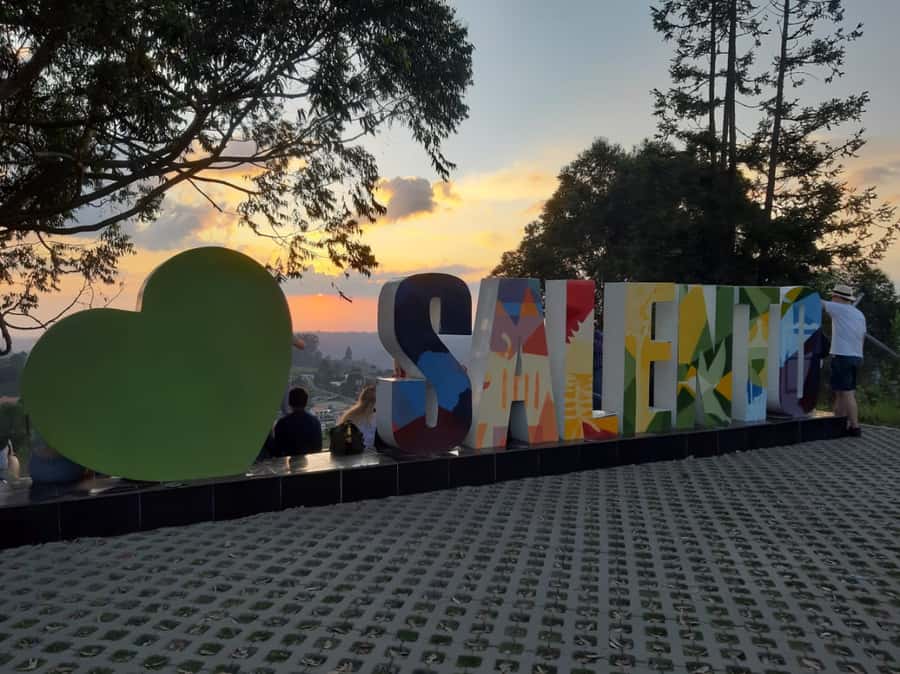 Salento: Private Cocora Valley, Salento & Coffee Farm Tour - Why this private day works